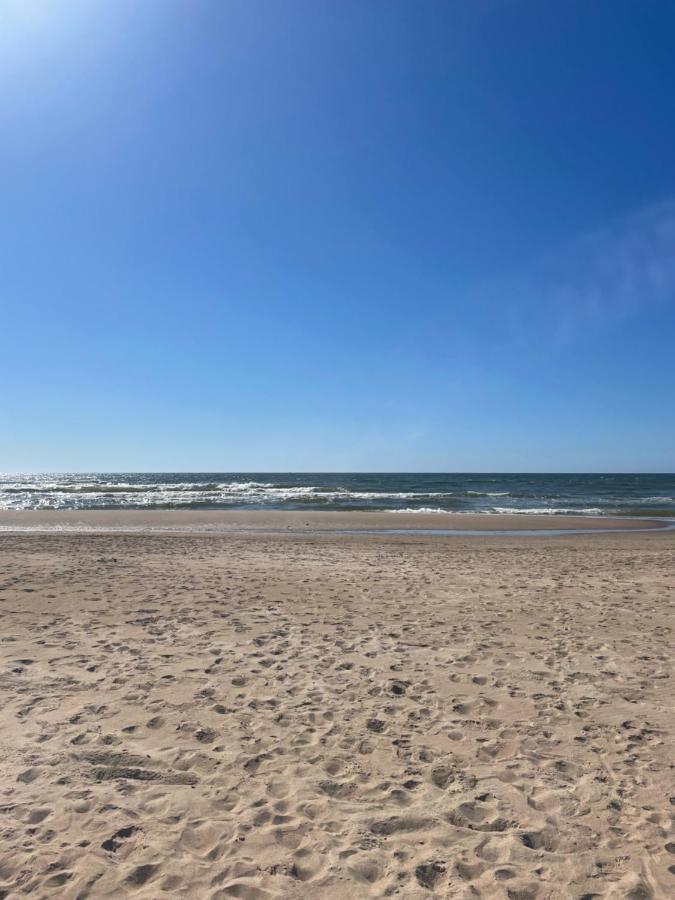 Cozy Vaivorykstes Apartment Palanga Exteriör bild